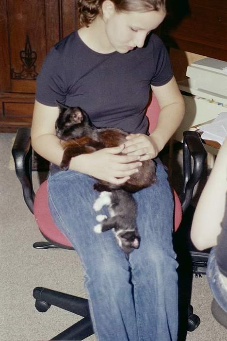 Huskat Anubis billede 8