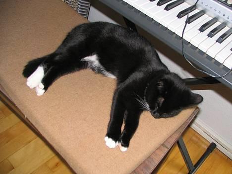 Huskat Osiris billede 12