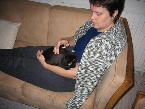 Blanding af racer Lib *død* - Her er Lib inde i huset, hvor vi forsøgte at gøre hende tam, men det gik ikke. I stedet tissede hun af skræk, lidt efter, at dette billed blev taget (25/12-05) billede 4