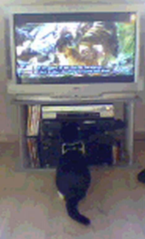 Huskat Stitch - Jeg ser tit tv billede 7