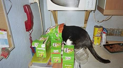 Huskat Felix Philipsen - Her har jeg gang i madpakken billede 11