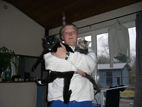 Huskat ib (Manse) *missehimlen* - Far har fanget os begge to... billede 6