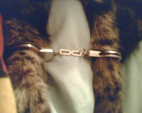 Huskat Speedy [DØD D. 4/7-07] <3 - Busted ! billede 20