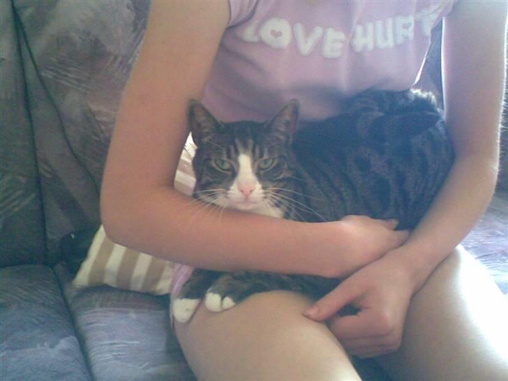 Huskat Lillebror (basse) billede 3