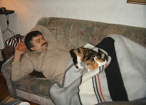 Huskat Gizmo billede 13