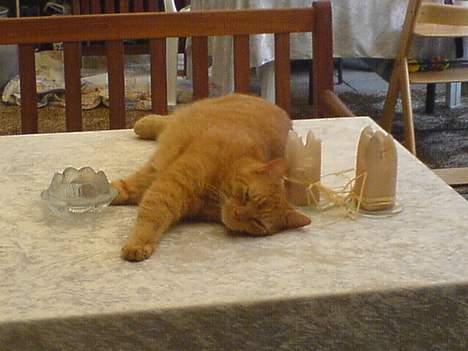 Huskat Garfield - Jeg sover altså lige!! billede 2