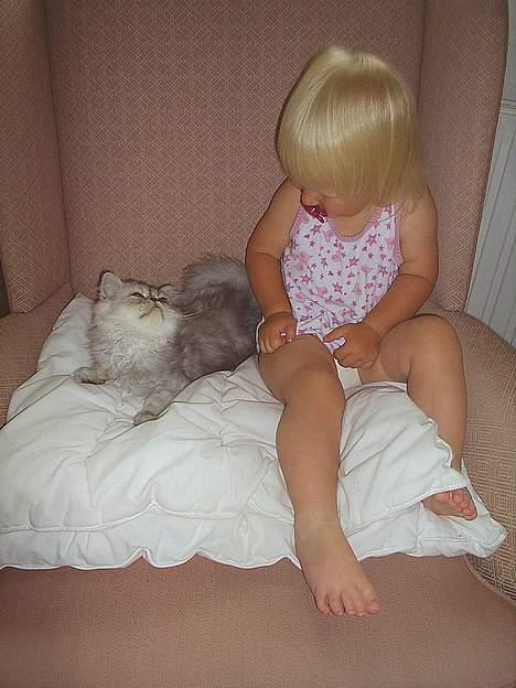 Perser Well-Done´s Sofus  - Se hvor sød Min datter og Sofus er  billede 16