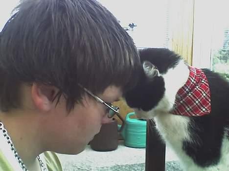 Huskat zorro - det er det den kan af triks billede 5