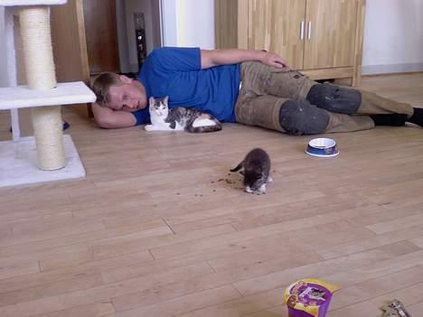 Huskat Mille - Far.... Hvem er det, og hvad laver han i MIT hjem? billede 12