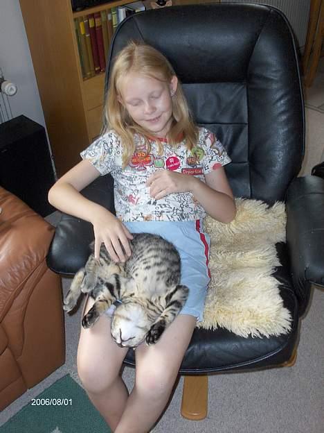 Huskat Zappa - Uhmmmm - bliv ved... billede 6