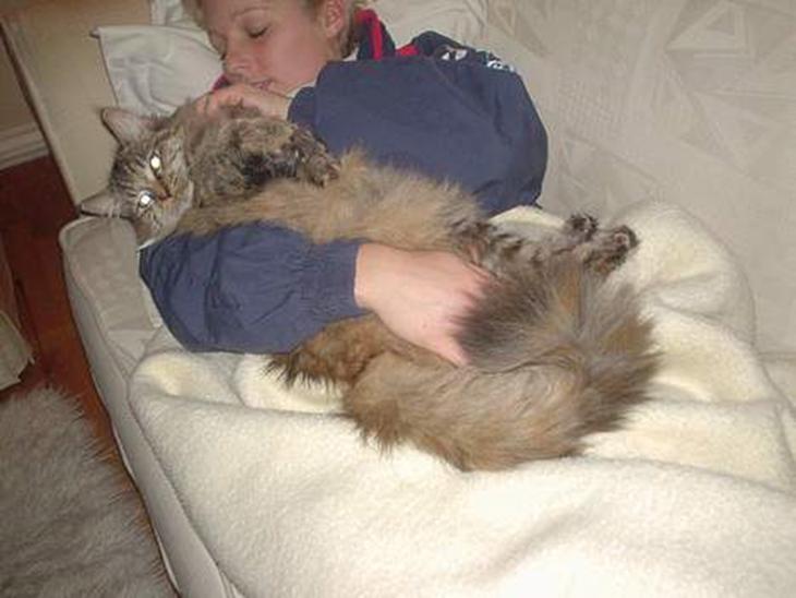 {{currentPhoto.altText}} billede {{currentPhoto.number}}