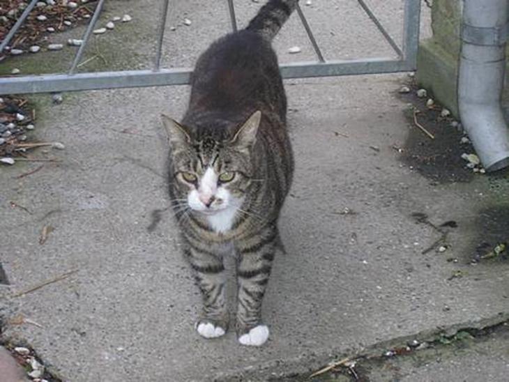 {{currentPhoto.altText}} billede {{currentPhoto.number}}