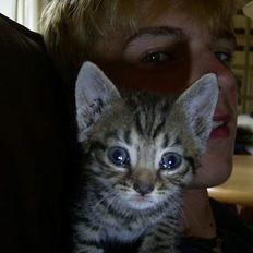 Blanding af racer lille john