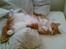 Huskat Oliver - Min bedste sove stilling.. :)