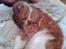 Huskat Oliver - Arh.. Putte..