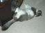 Huskat Gustav - Gris -