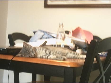 Huskat Graulund - Godnat billede 2