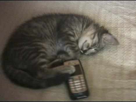 Huskat Graulund - Min mobil :D billede 13