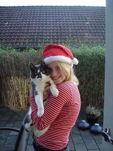 Huskat Simba - Årh se hvor smuk han er ;D Julebillede  billede 7