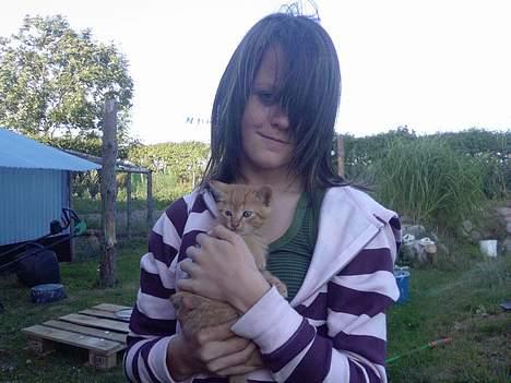 Blanding af racer Garfield - Mig og Garfield (Kig ikke på mig:D) billede 10