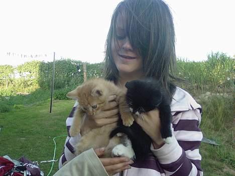 Blanding af racer Garfield - Mig, Garfield og Snuske (Kig ikke på mig:D) billede 11