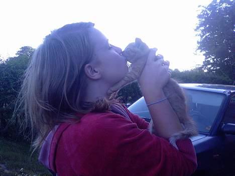 Blanding af racer Garfield - Kys <3 (Katja &´ Garfield) billede 12