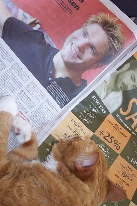 Huskat Phister - Mmmmm... to af mors yndlinger:-) billede 17