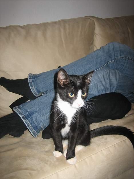 Blanding af racer Sira <3 Død.. :´( - Det er så hyggeligt at sidde sammen med mor.. :) billede 2