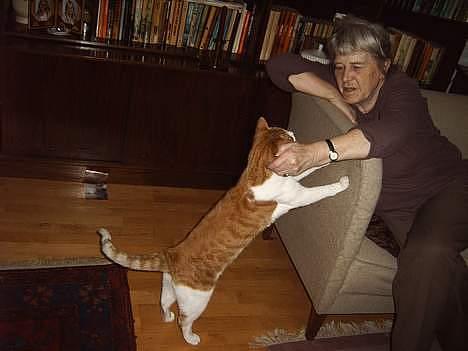 Huskat mikkel billede 9