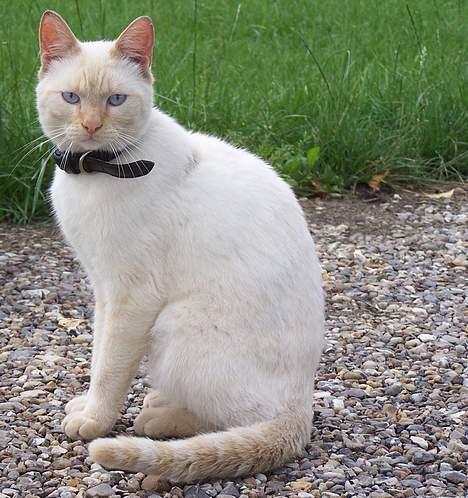 Huskat Punktum - ja,lidt model er der i mig ;) billede 1