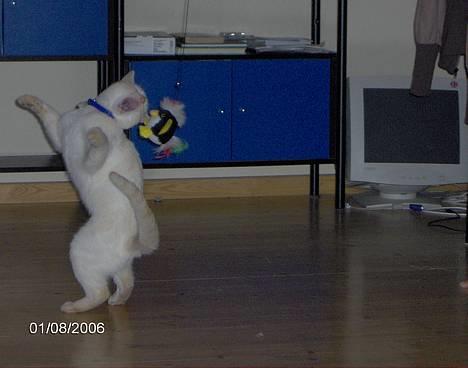 Huskat Punktum - Du skal ikke tro du er noget?!!?! billede 2