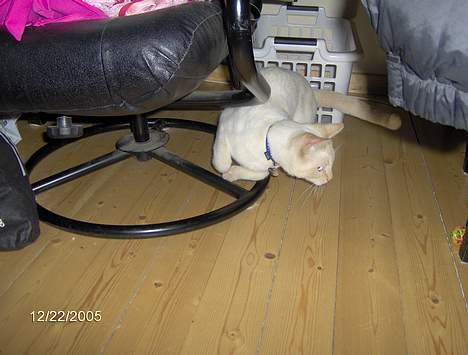 Huskat Punktum - Så det nu!!! billede 4