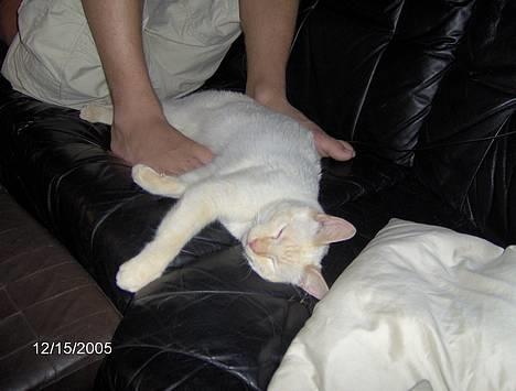 Huskat Punktum - Sofaen er ALTID god ;) billede 7