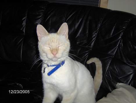 Huskat Punktum - Var det gæt & grimasser vi legede ? ;) billede 8