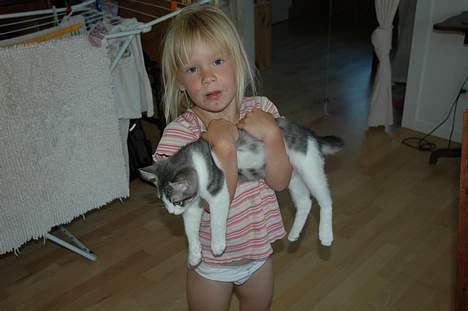 Huskat Fut billede 8