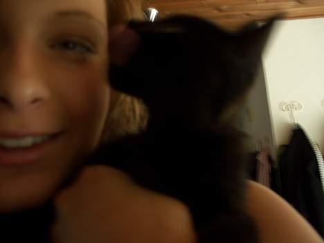 Blanding af racer Olivia - Det er utydeligt, men mor her får et kys xD billede 13