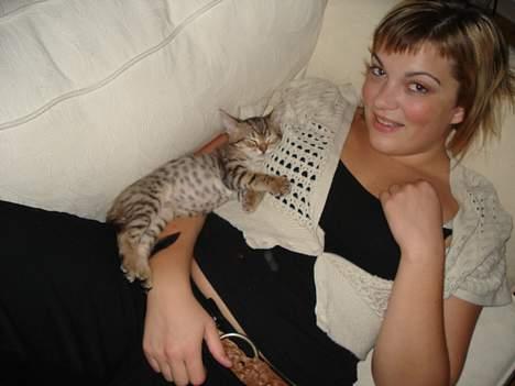 Blanding af racer LONDON - sov v ed mig igår vil altid ligge og nusse billede 17