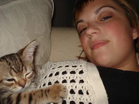 Blanding af racer LONDON - haha billede 20