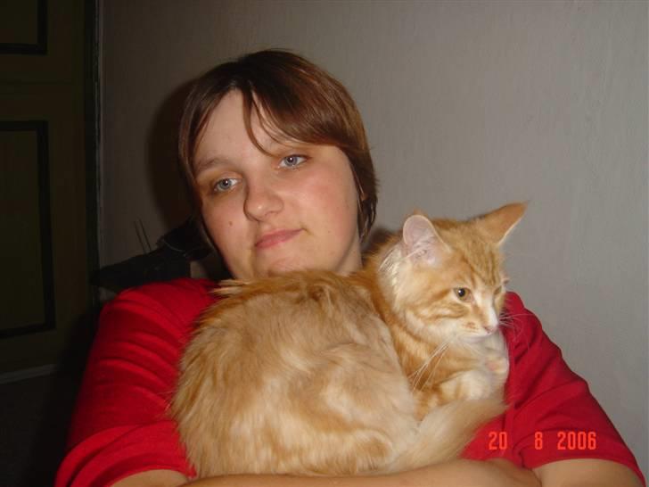 Maine Coon Tyson - dejlig varmt at side ved mor (20-08-06) billede 9