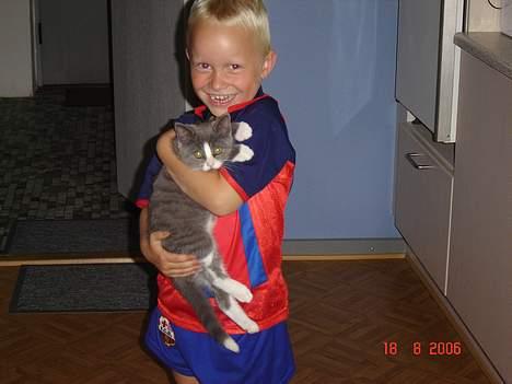 Blanding af racer Mulle - fars dreng der lige skal bære mig  billede 16