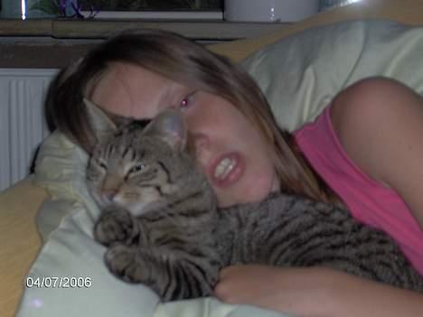 Huskat Missy (Død) - Er det ikke hyggeligt.<33 billede 3