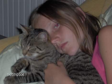 Huskat Missy (Død) - Jeg ligger og sover.<33 billede 4