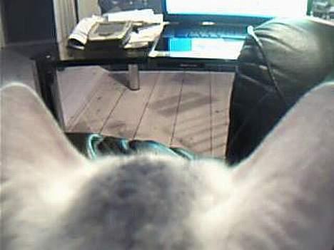 Huskat bo billede 9