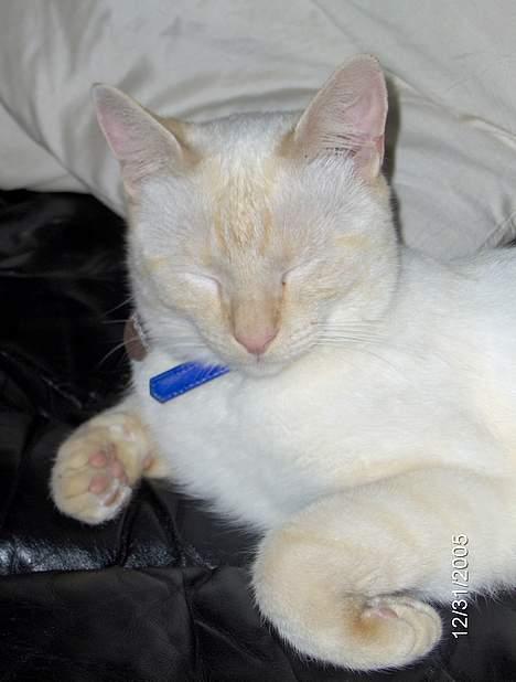 Huskat Punktum - Zzzzzzzzzzzz billede 9