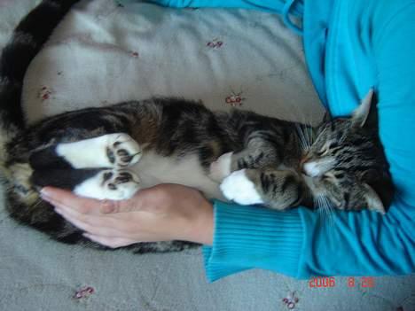 Huskat Gonzo - Savner ham :(! billede 11