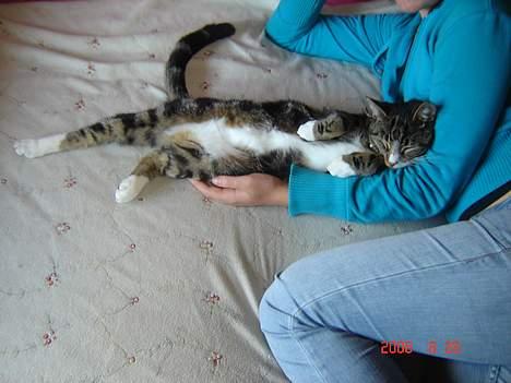 Huskat Gonzo - Savner ham :(! billede 13