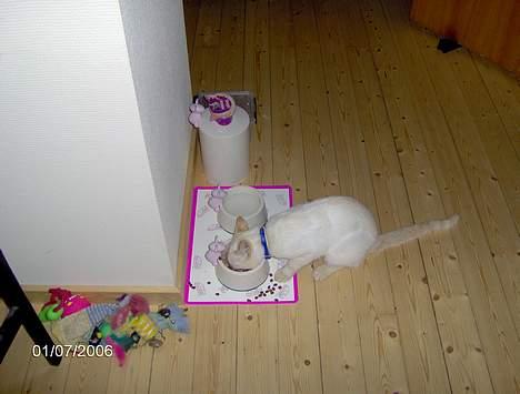 Huskat Punktum - Uhhhmmmm jeg er altid sulten...mums ;) billede 12