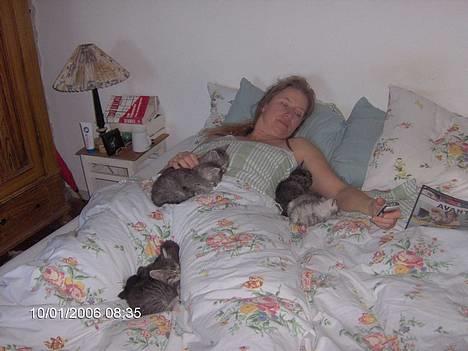 Blanding af racer 6linger  - Elsker at ligge sammen med familien i dobbeltsengen.. billede 5