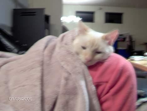 Huskat Punktum - Det aften hygge ;)  billede 14