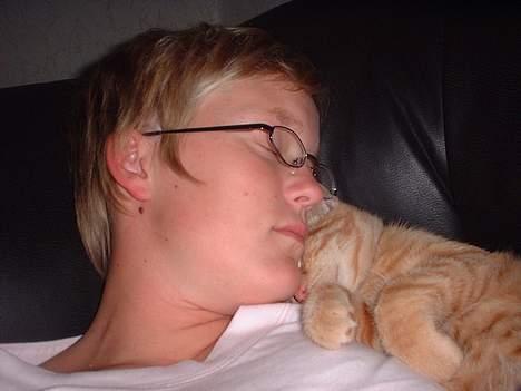 Blanding af racer Eddie - Mor gør lige plads jeg skal også være her!! billede 16